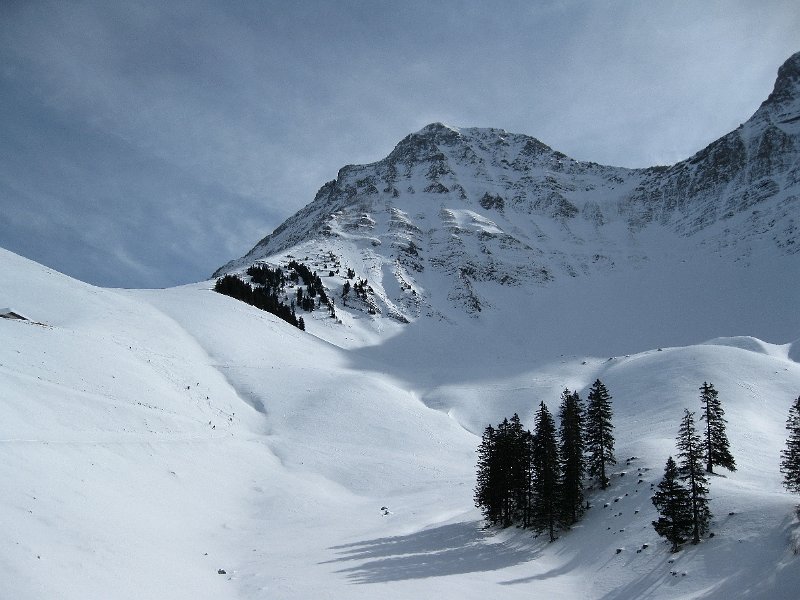 jaungrandvillard31.jpg